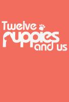 Poster voor 12 Puppies and Us