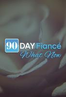Poster voor 90 Day Fiancé: What Now