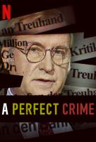 Poster voor A Perfect Crime