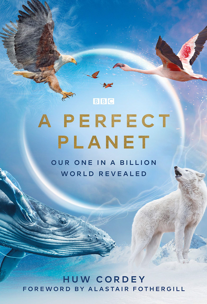 Poster voor A Perfect Planet