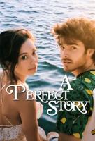 Poster voor A Perfect Story