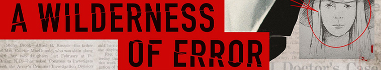 Banner voor A Wilderness of Error