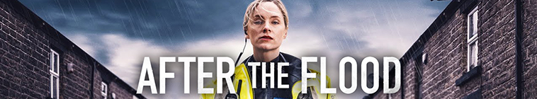 Banner voor After the Flood