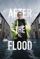 Poster voor After the Flood