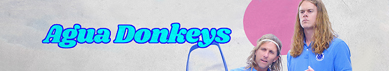Banner voor Agua Donkeys