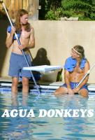 Poster voor Agua Donkeys