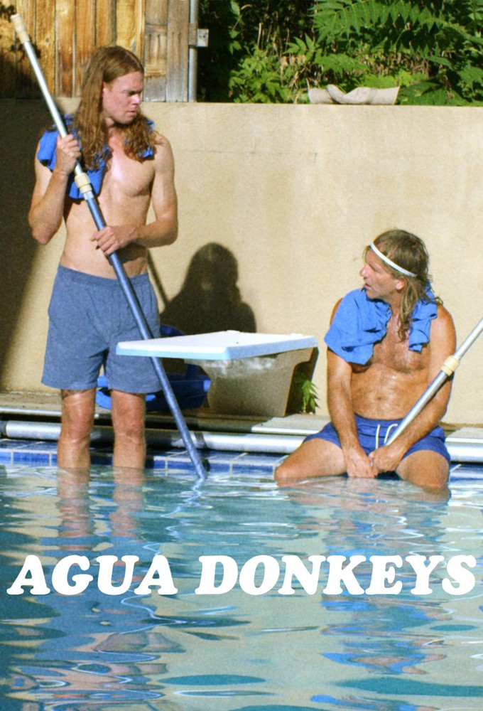 Poster voor Agua Donkeys