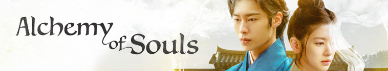 Banner voor Alchemy of Souls