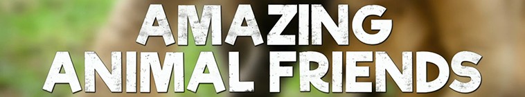 Banner voor Amazing Animal Friends