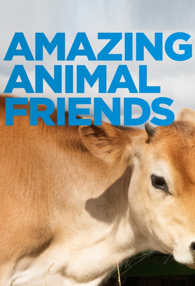 Poster voor Amazing Animal Friends