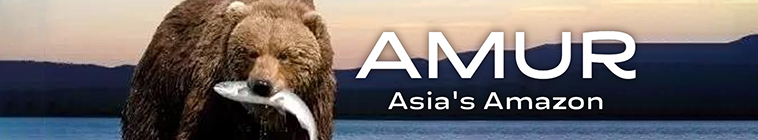Banner voor Amur: Asia's Amazon
