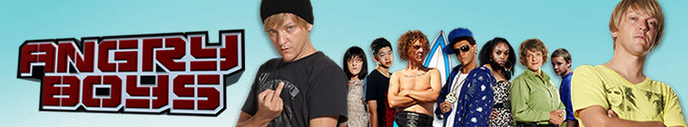 Banner voor Angry Boys