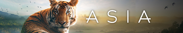 Banner voor Asia