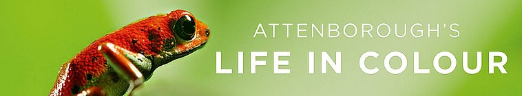 Banner voor Attenborough's Life in Colour