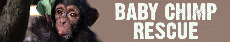Banner voor Baby Chimp Rescue