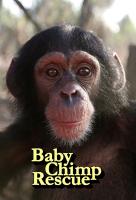 Poster voor Baby Chimp Rescue