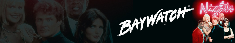 Banner voor Baywatch Nights