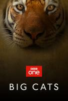 Poster voor Big Cats