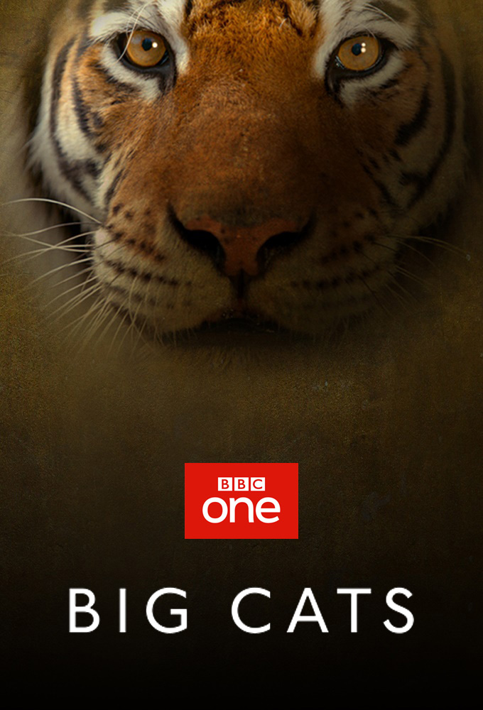 Poster voor Big Cats