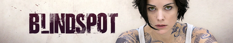 Banner voor Blindspot