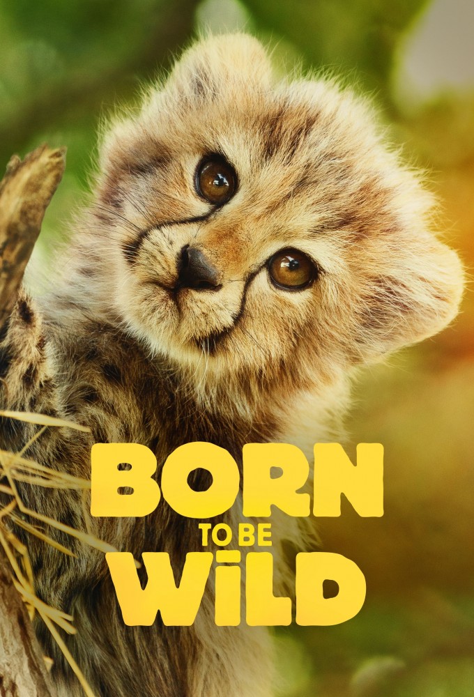 Poster voor Born to be Wild