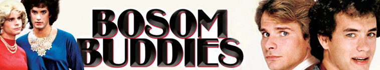 Banner voor Bosom Buddies