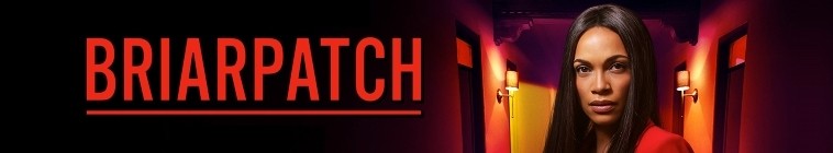 Banner voor Briarpatch