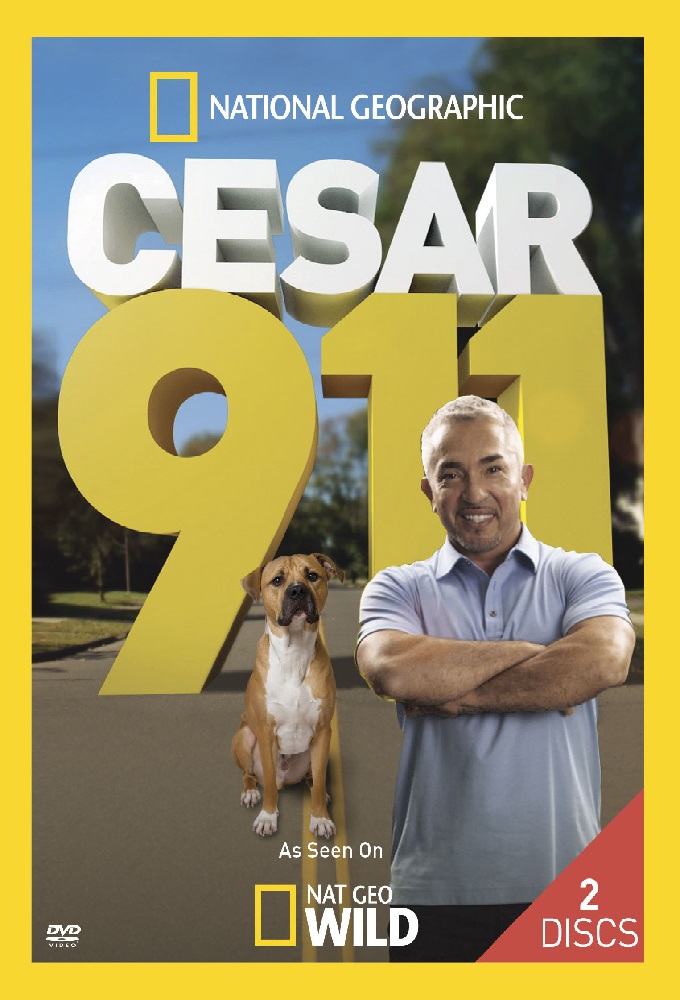 Poster voor Cesar 911