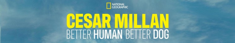 Banner voor Cesar Millan: Better Human Better Dog