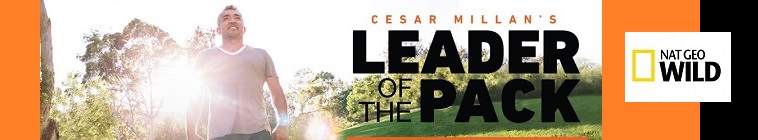 Banner voor Cesar Millan's Leader of the Pack