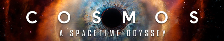 Banner voor Cosmos: A Spacetime Odyssey