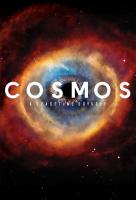 Poster voor Cosmos: A Spacetime Odyssey