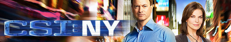 Banner voor CSI: New York