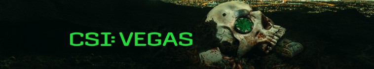 Banner voor CSI: Vegas