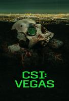 Poster voor CSI: Vegas