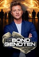 Poster voor De Bondgenoten