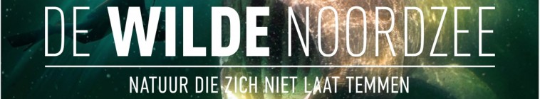 Banner voor De Wilde Noordzee