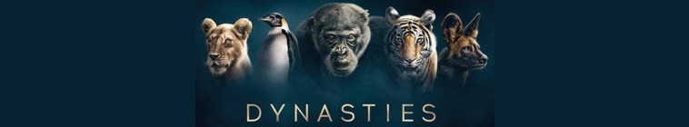 Banner voor Dynasties