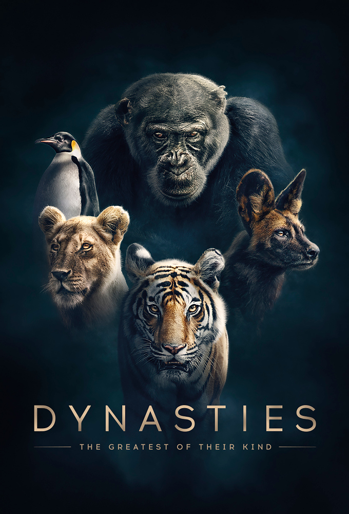 Poster voor Dynasties