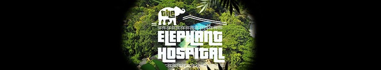 Banner voor Elephant Hospital