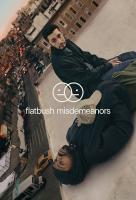 Poster voor Flatbush Misdemeanors