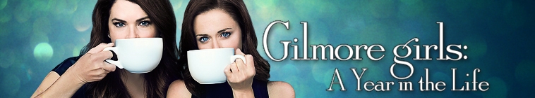 Banner voor Gilmore Girls: A Year in the Life