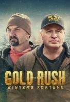 Poster voor Gold Rush: Winter's Fortune