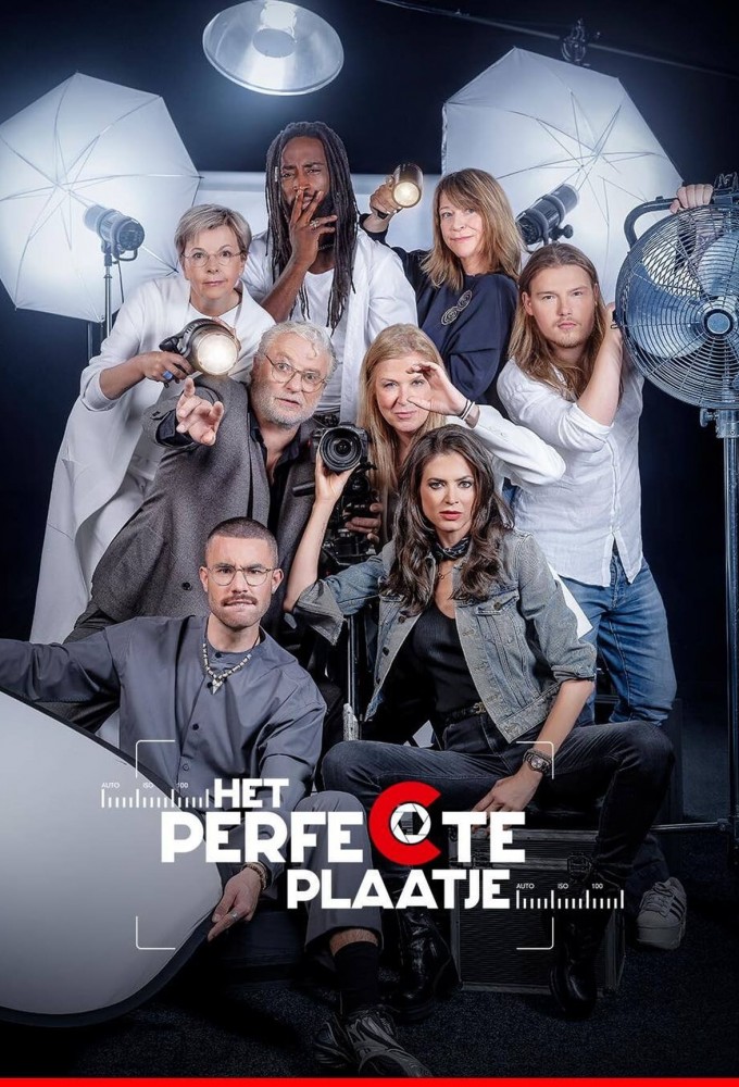 Poster voor Het Perfecte Plaatje (BE)