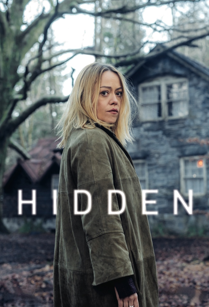 Poster voor Hidden