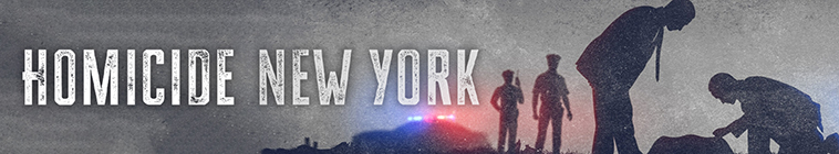 Banner voor Homicide: New York