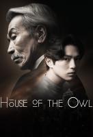 Poster voor House of the Owl