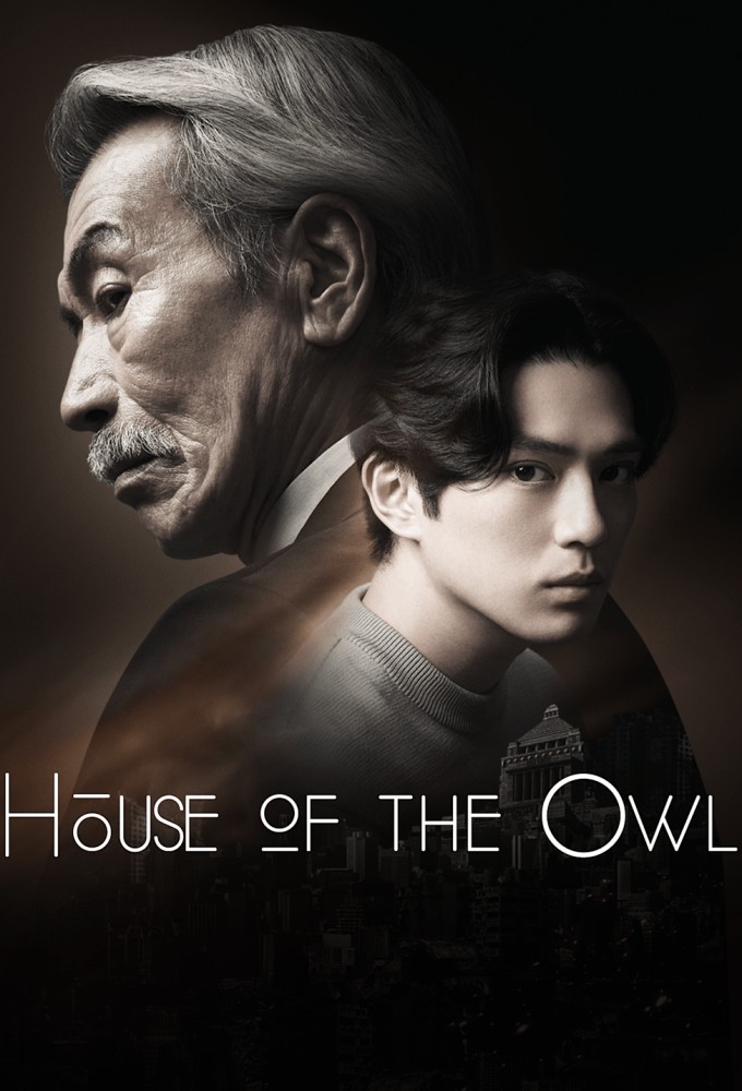 Poster voor House of the Owl