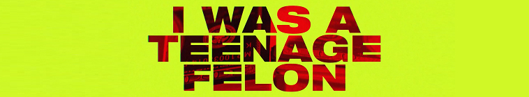 Banner voor I Was a Teenage Felon