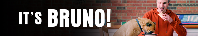 Banner voor It's Bruno!